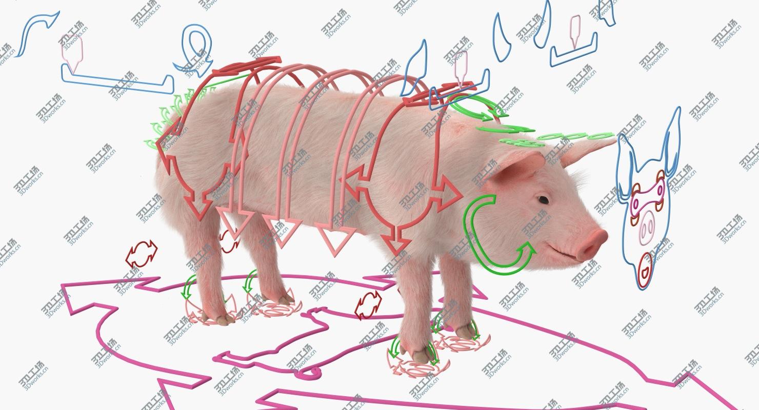 images/goods_img/202104091/Pig Piglet Landrace with Fur Rigged 3D model/4.jpg